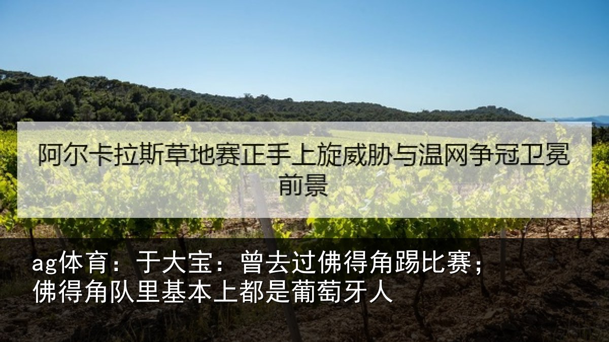 ag体育：于大宝：曾去相关情况情况萄牙人
