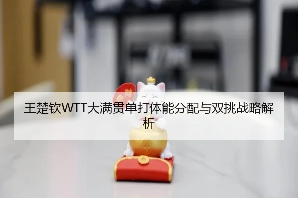 wang-chu-qin-da-man-guan-dan-da-ti-neng-fen-pei-yu-shuang-tiao-zhan-lve-jie-xi-3-881.jpg