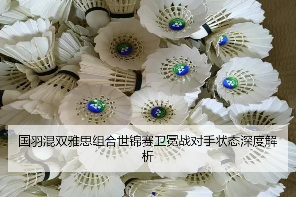 国羽混双雅思组合世锦赛卫冕战对手状态深度解析