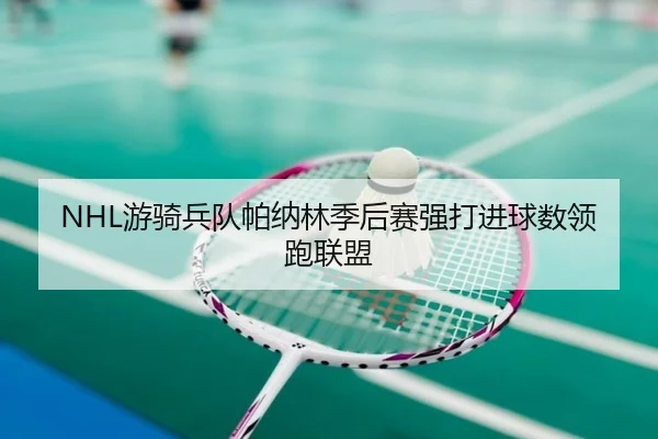 NHL游骑兵队帕纳林季后赛强打进球数领跑联盟