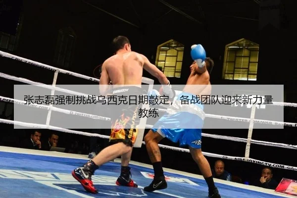 张志磊强制挑战乌西克日期敲定，备战团队迎来新力量教练